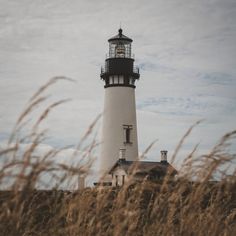 a tall light house sitting on top of a lush green field next to tall grass