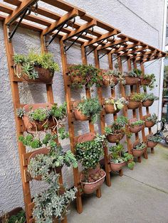 a wooden trellis filled with potted plants