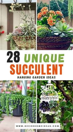 an image of hanging plants in pots and baskets with text overlay that reads 28 unique succulent hanging garden ideas