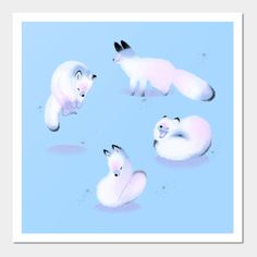 four polar bears are sitting in the snow and one is looking up at the sky