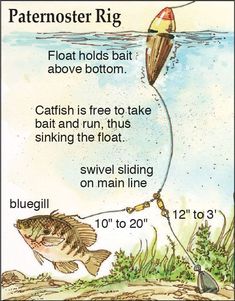 a fish hooked up to a fishing line with the caption's description below