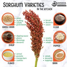 the ingredients for sorghum varieties in the kitchen