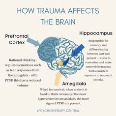 the brain and its functions are labeled in this diagram, which shows how it works