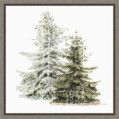 a watercolor painting of two trees in the snow, one is green and the other is white