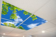 the ceiling is decorated with green leaves and blue sky