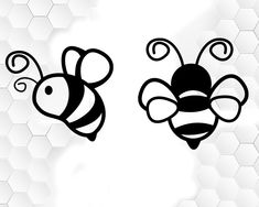 two black and white bees on a hexagonal background