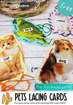 there are pictures of dogs and cats on these cards for the kids to learn how to use them