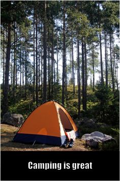 an orange and blue tent sitting in the middle of a forest next to some trees