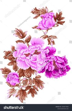 pink peoni flowers with leaves on white background, watercolor painting style stock photo