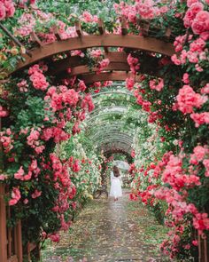 a woman in white dress walking through a tunnel with pink flowers