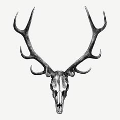 a deer's head with antlers is shown in this black and white drawing