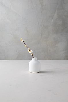 a small white vase with flowers in it on a countertop next to a gray wall