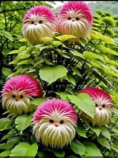 pink and white flowers with green leaves in the foreground, surrounded by greenery