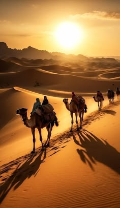 a group of people riding on the backs of camels in the desert at sunset