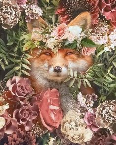 paint by numbers | fox in the flowers | new arrivals flowers animals foxes advanced | FiguredArt Figurative Kunst, Art Fox, Wild Animals Pictures, Fox Art, Dessin Adorable, Arte Animal, Animal Wallpaper, Learn To Paint, The Flowers