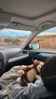 there is a stuffed animal in the back seat of a car