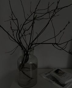 a vase with branches in it sitting on a table next to a book and magazines