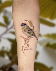 a small bird sitting on top of a leafy branch with the word love written below it