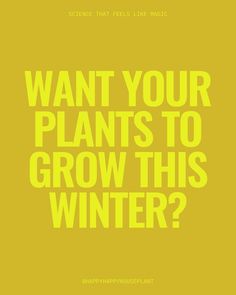 a yellow poster with the words want your plants to grow this winter?