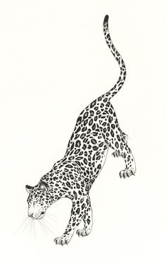 a black and white drawing of a cheetah on the prowling side