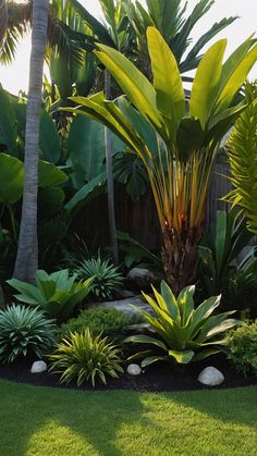 a lush green garden with palm trees and rocks