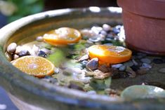 a potted plant filled with lots of oranges and gravel next to a flower pot