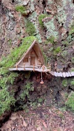 a miniature house built into the side of a tree