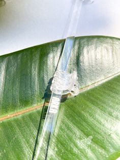 a clear glass tube sitting on top of a large green leaf with water coming out of it