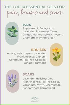 Top oils for pain, bruises and scars, essential oils for pain relief, science of essentials, healing Oils For Pain Relief, Apothecary Garden, Essential Oils For Fleas, Pain Relief Essential Oils, Diy Wellness, Herbal Education, Skin Tea, Healing Essential Oils