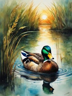 a painting of a duck swimming in the water