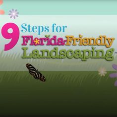 the title image for 9 steps for florida friendly landscaping, including butterflies and daisies