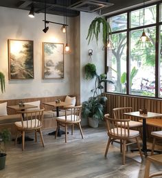 a restaurant with wooden tables and chairs next to large windows, potted plants on the wall