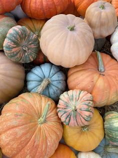 pumpkins and gourds are piled on top of each other