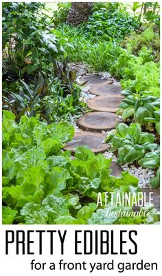 a garden path surrounded by green plants with text overlay that reads pretty edibles for a front yard garden