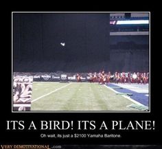 an image of a bird that is flying in the air over a football field with people watching