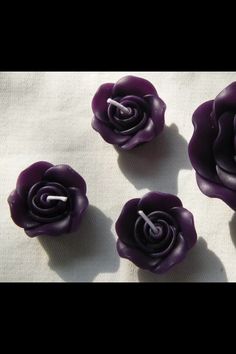 three purple flowers sitting on top of a white cloth