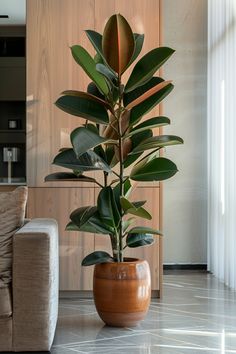 a large potted plant sitting on top of a marble floor next to a couch