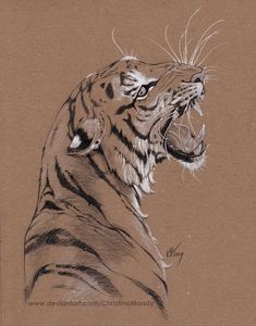 a drawing of a tiger with its mouth open