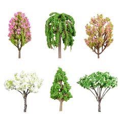 four different types of trees with white and pink flowers on each tree, all in the same