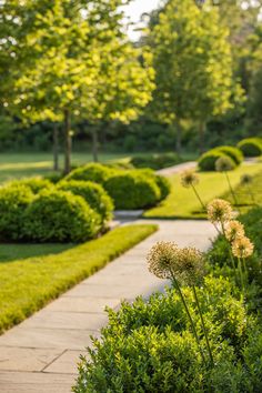 a park with lots of green grass and bushes