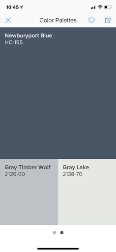 the color palettes for gray and blue are shown on an iphone screen, with text below