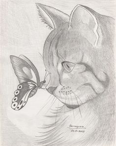 a pencil drawing of a cat with a butterfly on it's nose and the caption pin it