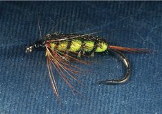 a close up of a green and black fly