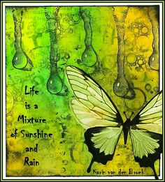 a butterfly with the words life is a mixture of sunshine and rain