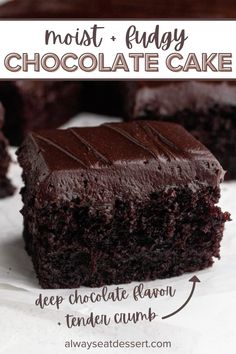 a close up of a piece of chocolate cake on a plate with text overlay