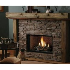 a dog sitting in front of a fire place