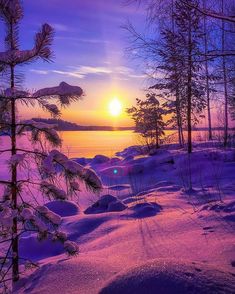 the sun is setting over some snow covered trees and water with purple hues in the sky