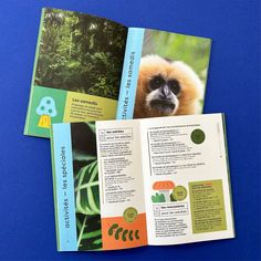 an open book with pictures of plants and animals on the pages, sitting on a blue surface