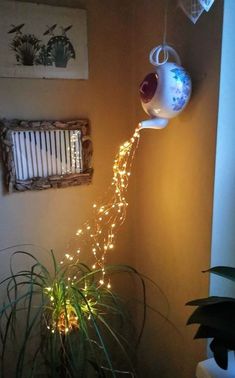 a light string is hanging from the ceiling next to a potted plant