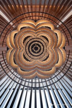 an artistic photo taken from the ground looking up at a spirally shaped structure with wooden slats